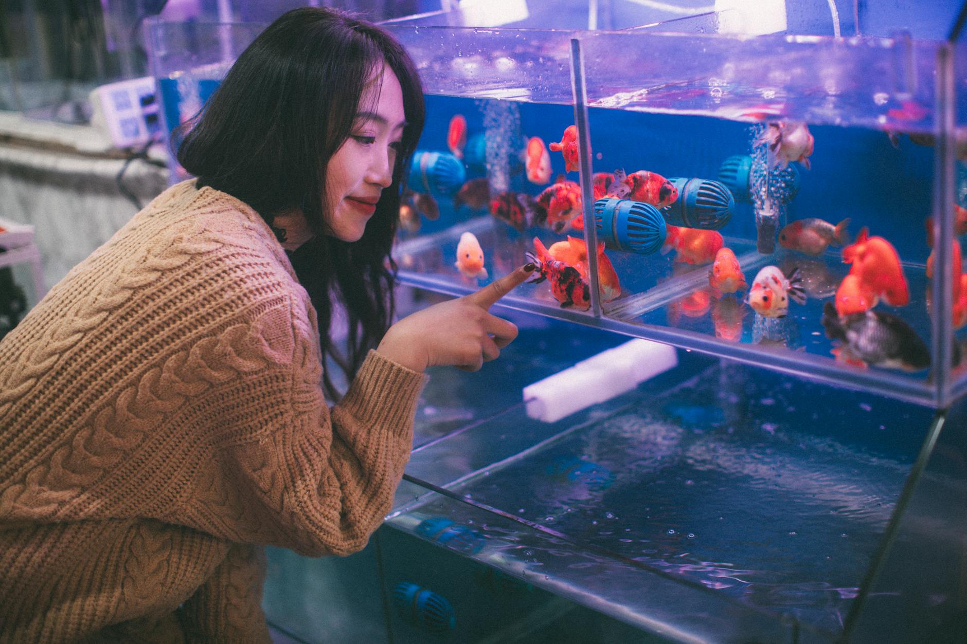 関東の水族館を選ぶ前に知っておきたいポイント