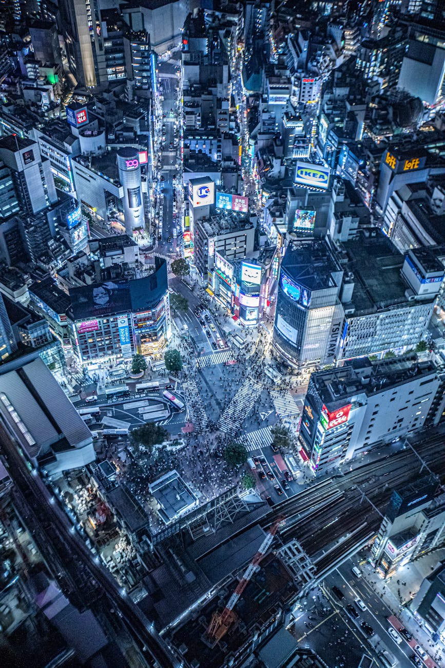 東京デートに選ばれる理由｜夜景・体験・アートが揃う都心の魅力
