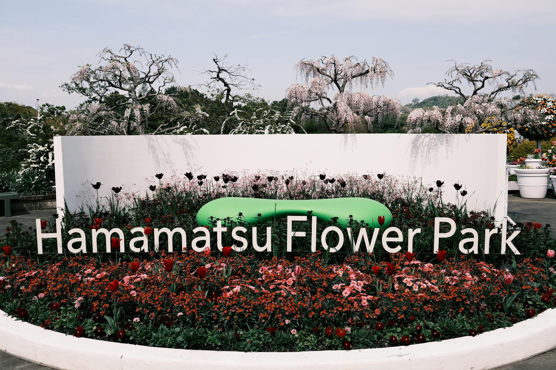 あしかがフラワーパークとは？北関東を代表する四季の花テーマパーク