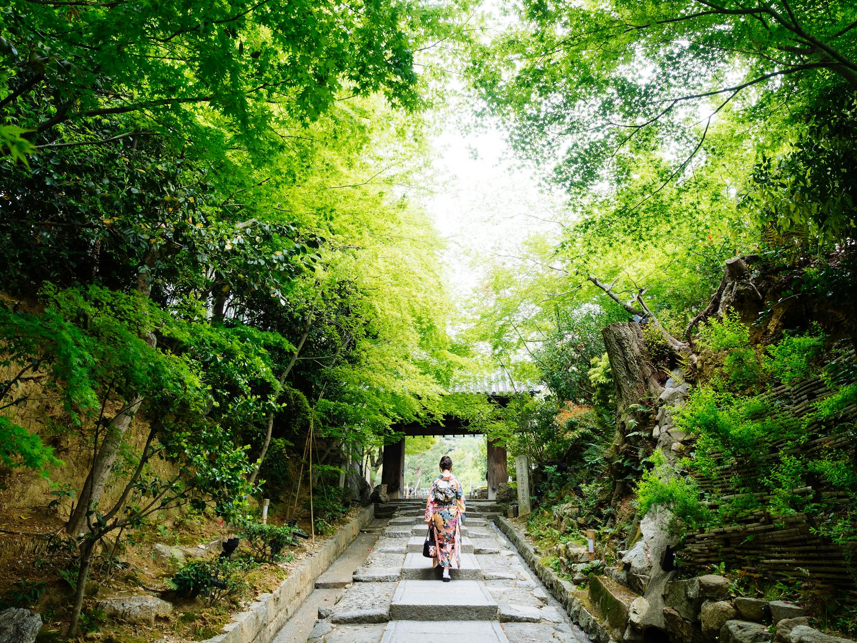 関西で日帰り女子旅をするなら知っておきたい基本情報
